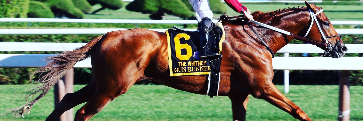 Catlyn Calder banner