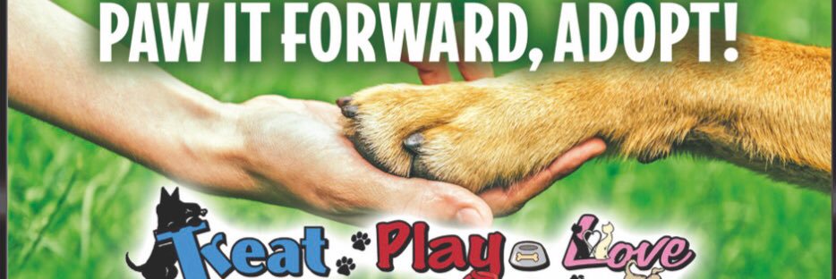 GF_TPL's profile banner image