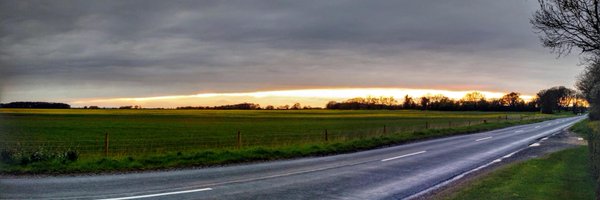 explodingwalrus Profile Banner