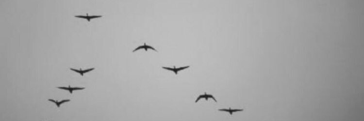 taluq_7's profile banner image