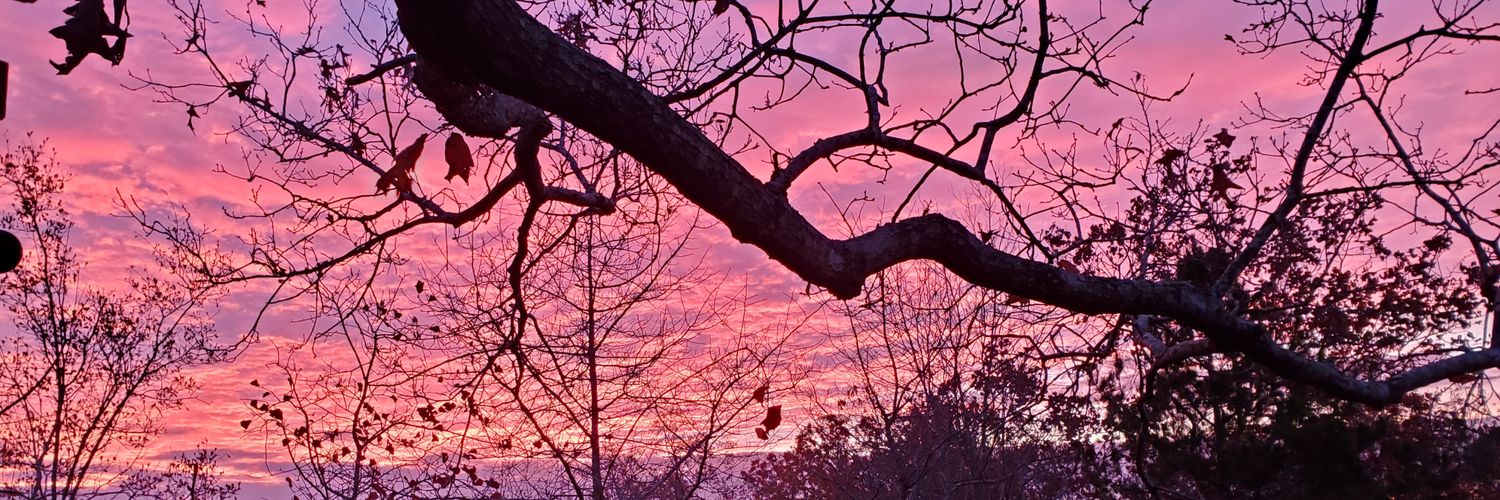 rdinkins79's profile banner image