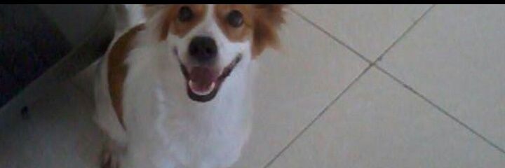 HENAO97's profile banner image