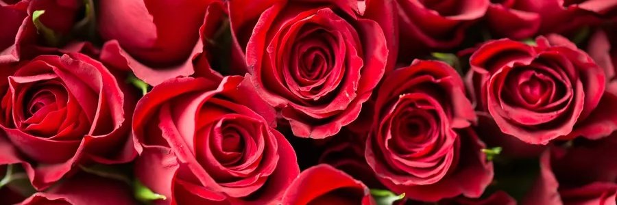 Intesamente banner