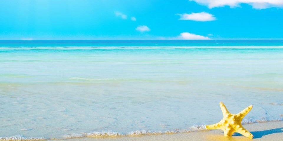 CristinaFDiaz's profile banner image