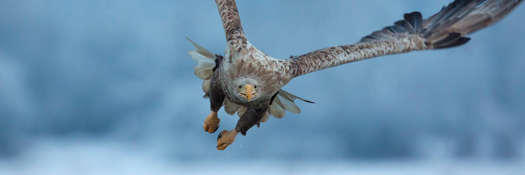 naturalfoto_es's profile banner image