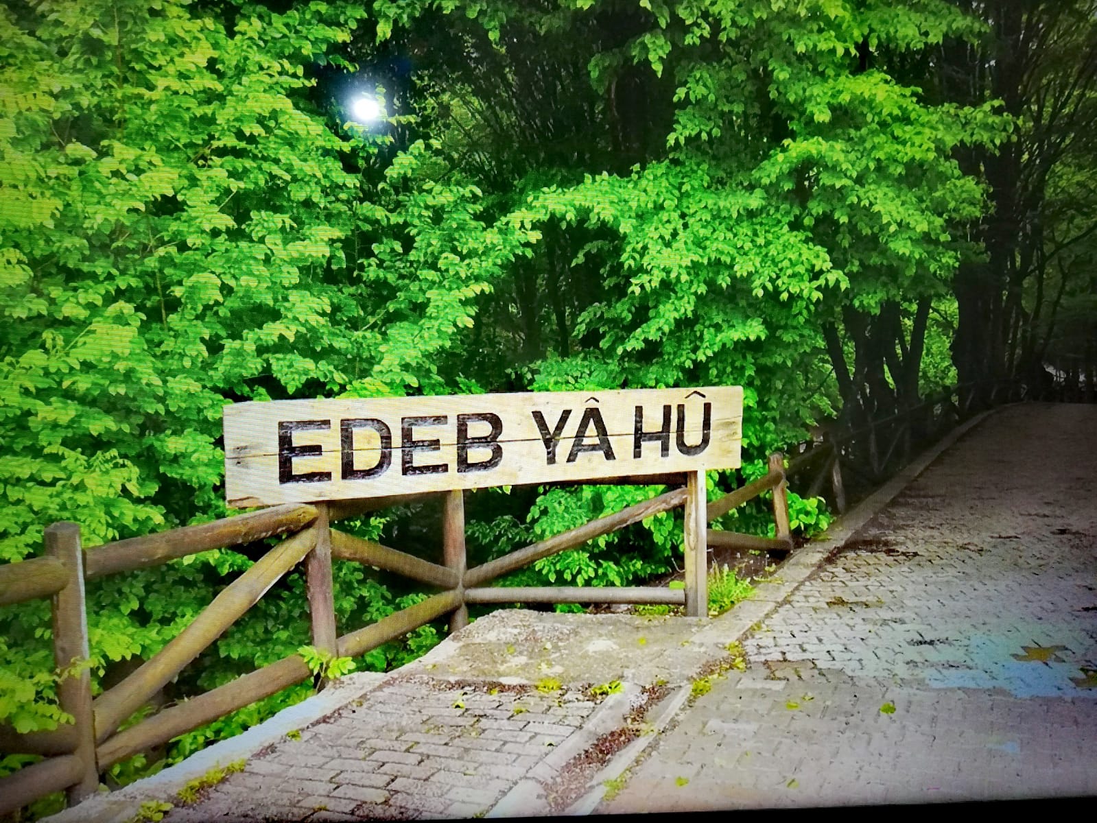 edepRT's profile banner image