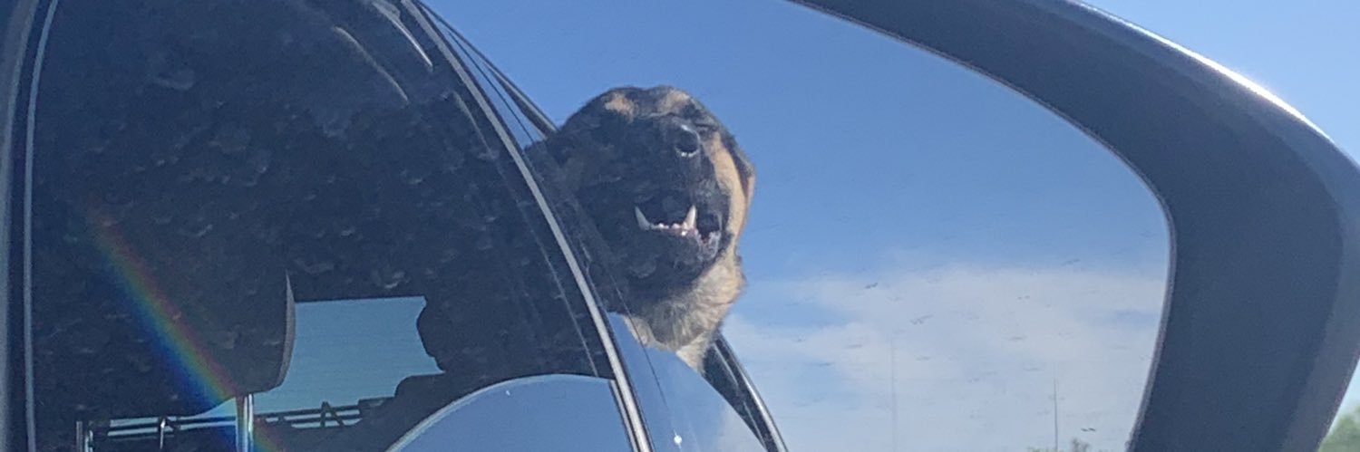 piscesshae's profile banner image