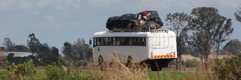 Building @ZimVine banner