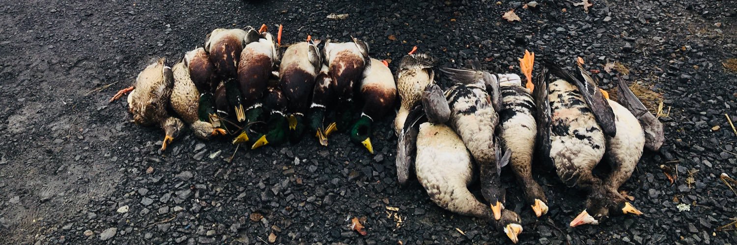 Tyler__Medford's profile banner image