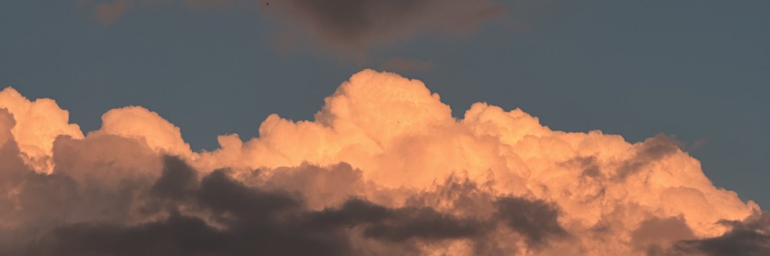 emilysinmas's profile banner image