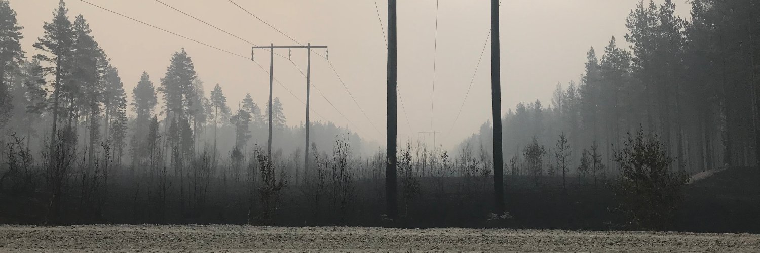 KimNikula's profile banner image