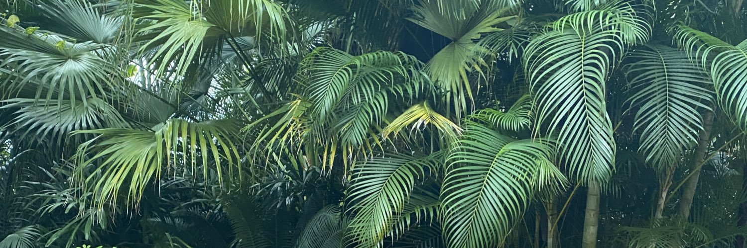 thatonechick_LT's profile banner image