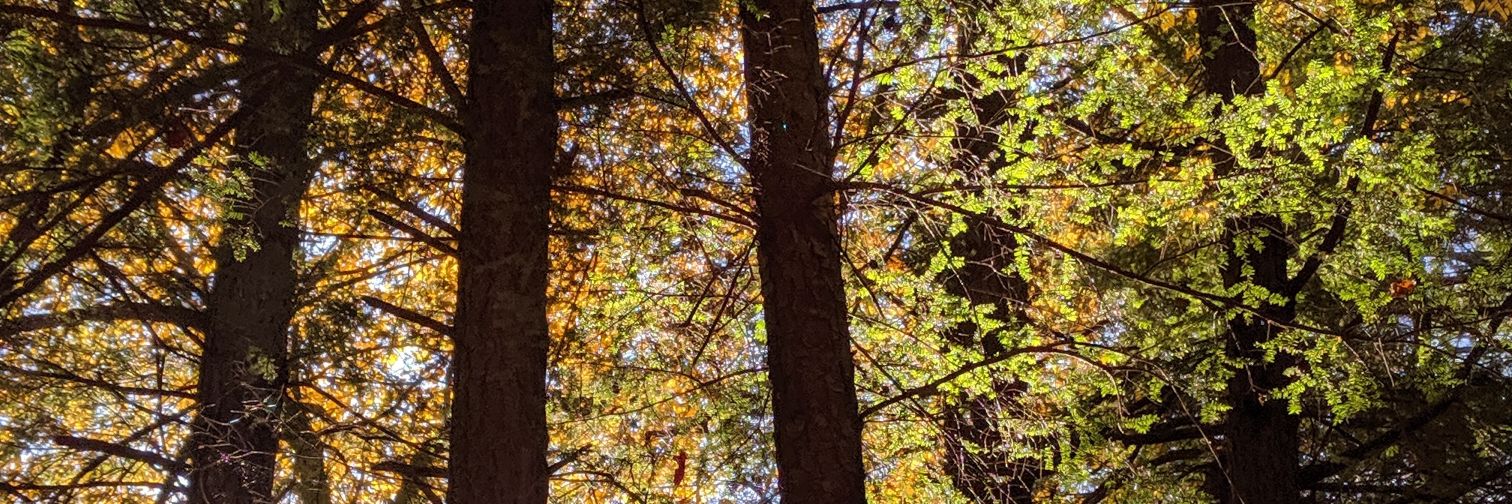 Larry310's profile banner image