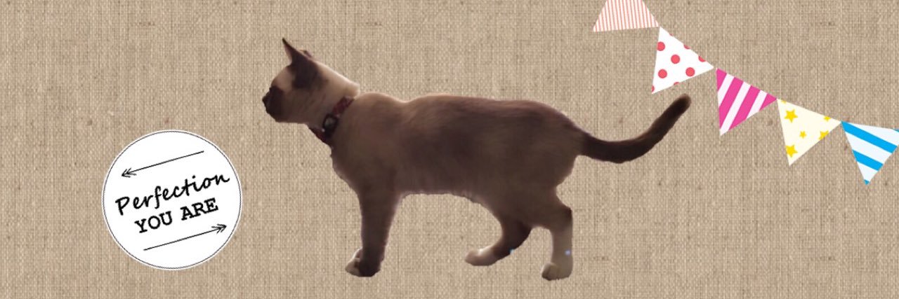 rum0709's profile banner image