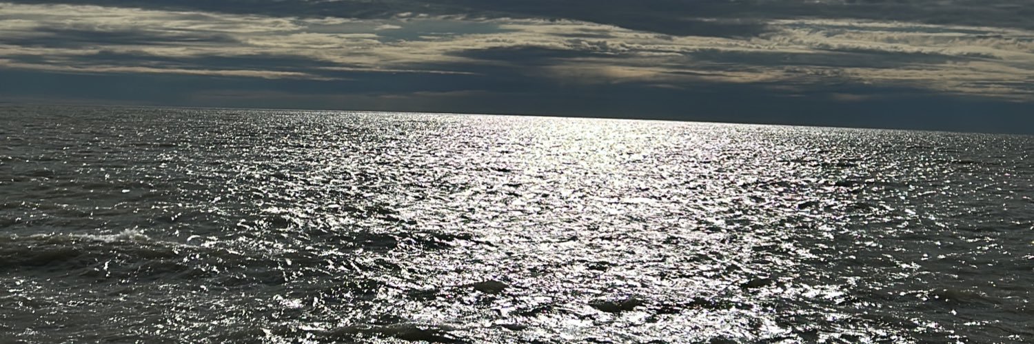 Tomas Meyer banner