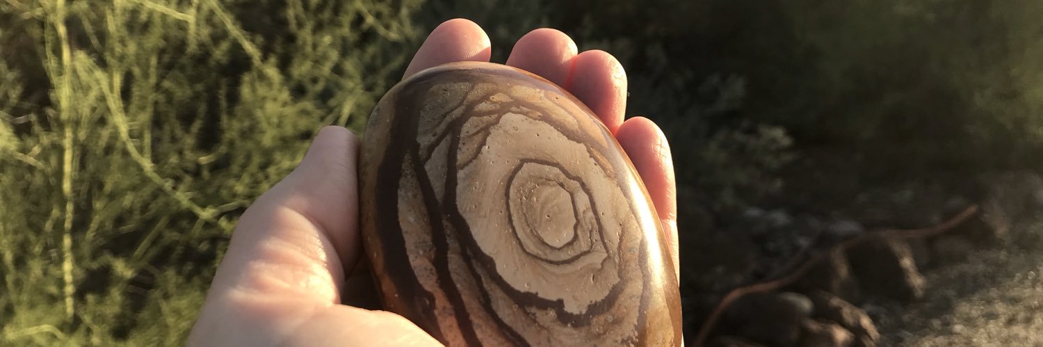 Allison L. Titcomb, Ph.D. banner