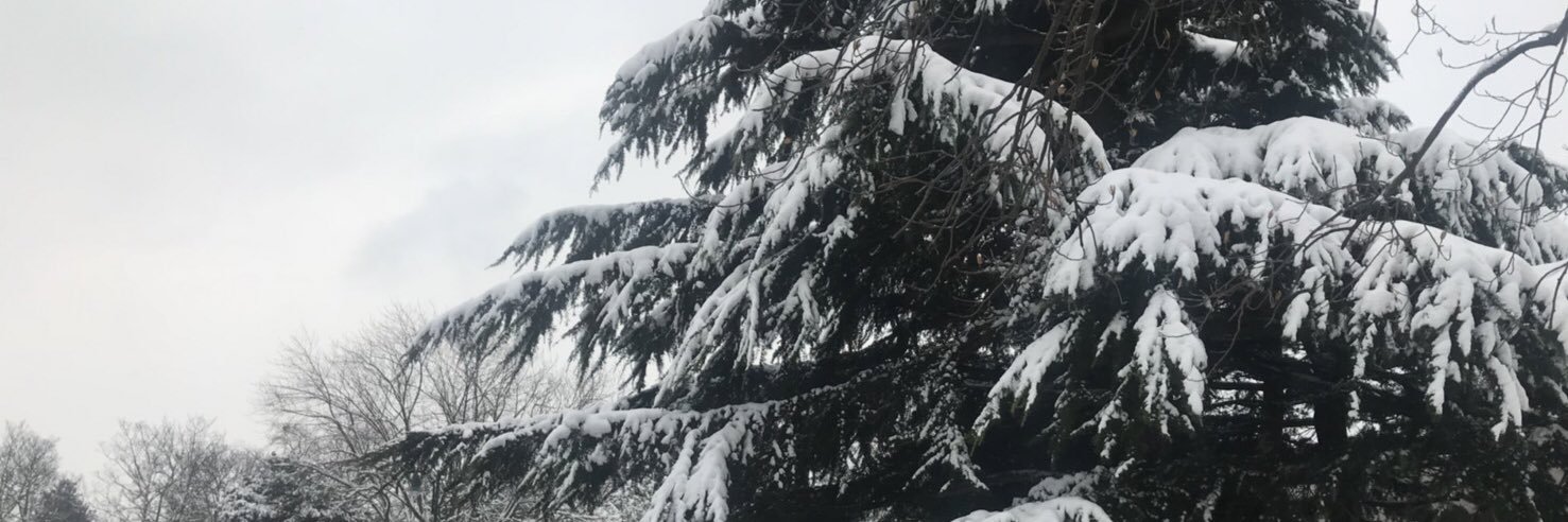 Jackmethus's profile banner image
