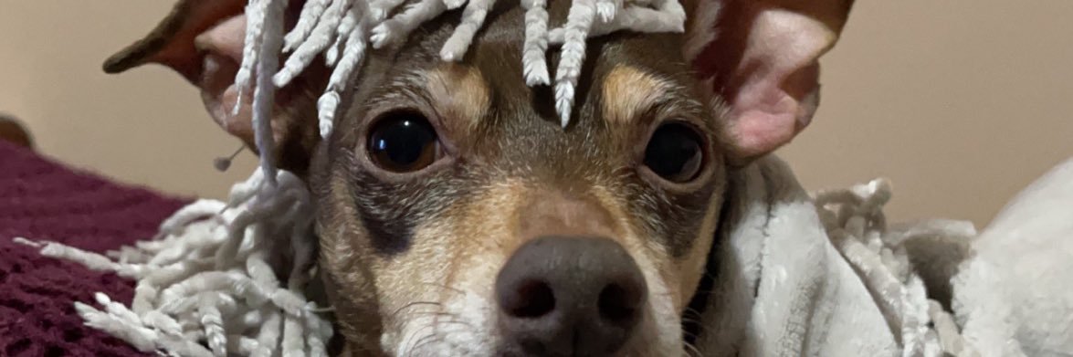 Boog_e11's profile banner image