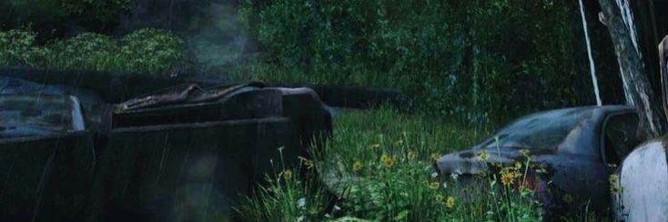 rosenwoods's profile banner image