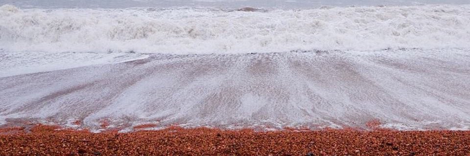 andreajpreece's profile banner image