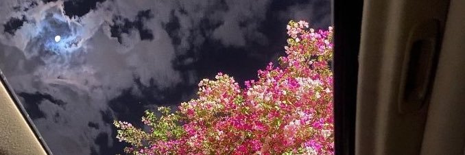 CJEstioco's profile banner image