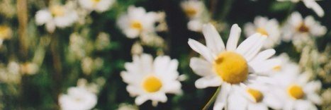 fiximka's profile banner image