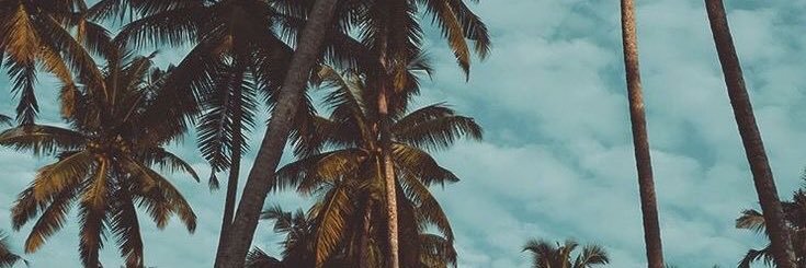 maryamathill's profile banner image