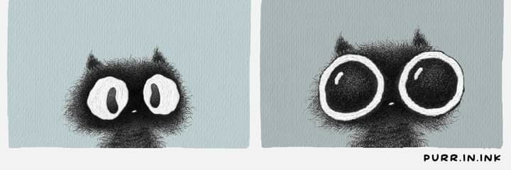 HeatherToothman's profile banner image