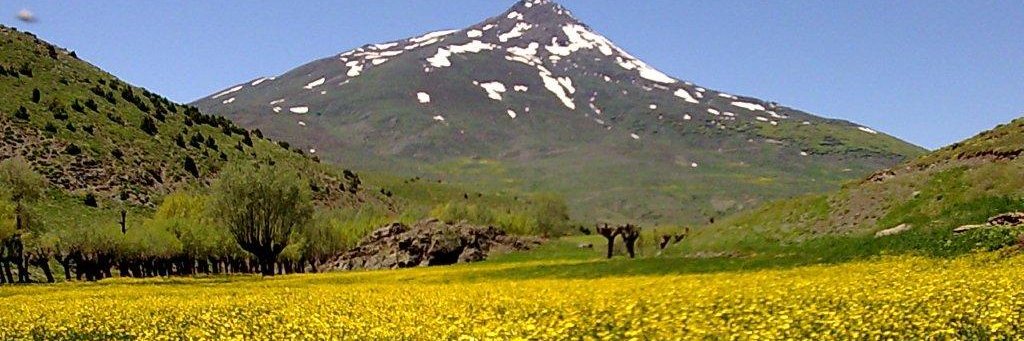 isml_celik's profile banner image
