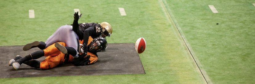 Squire Logan V banner