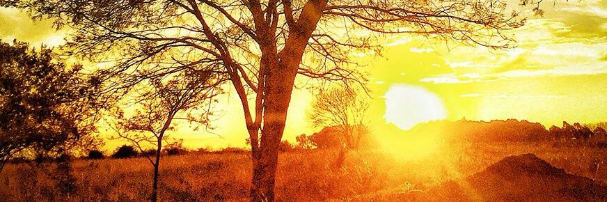 Temmychi's profile banner image