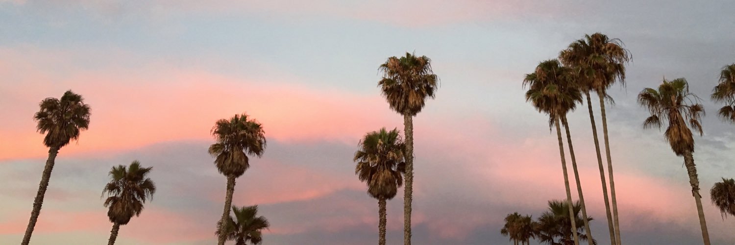 Matheus Spadari banner