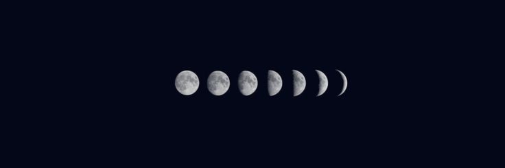 sarigoldbaker's profile banner image