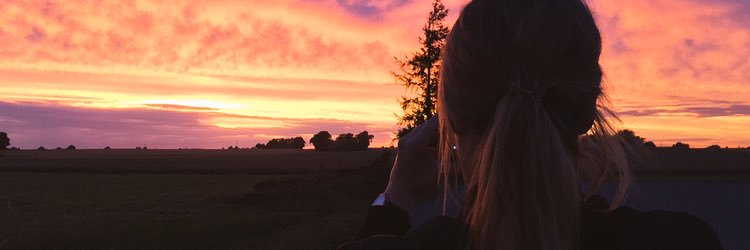 hildalindgren's profile banner image