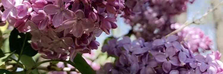 AshleyKetch's profile banner image