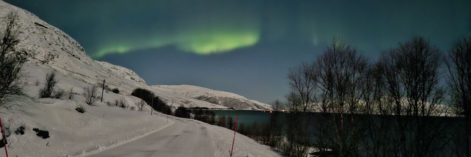 Pyrron ✒️📖 banner