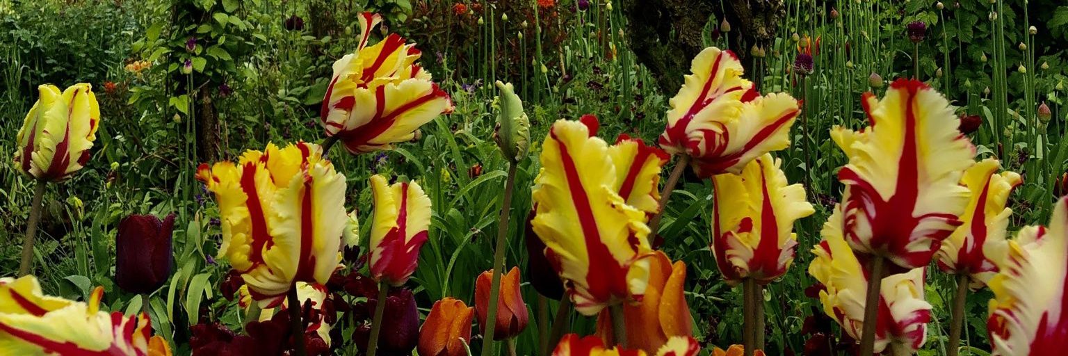 BethanyLFutrell's profile banner image