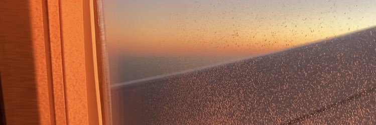 wanderslut's profile banner image