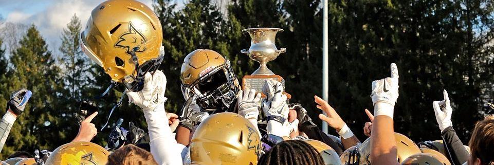 Thiel Football banner