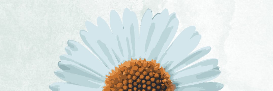 plngrtn's profile banner image