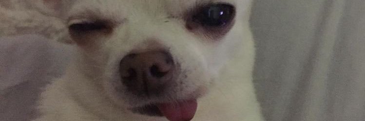 ceefromfcv's profile banner image