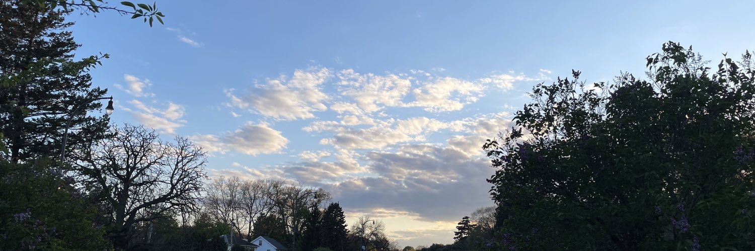 Dr. Daniel O. Bral banner