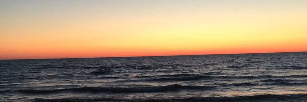 rschellenbergxo's profile banner image