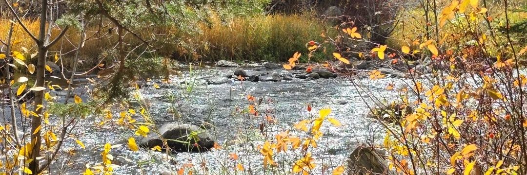 Tiffany ❤️‍🔥 banner