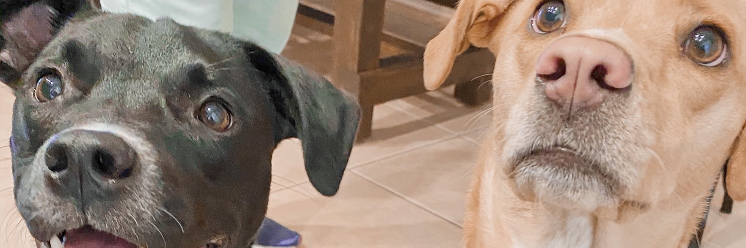 christineeee13's profile banner image