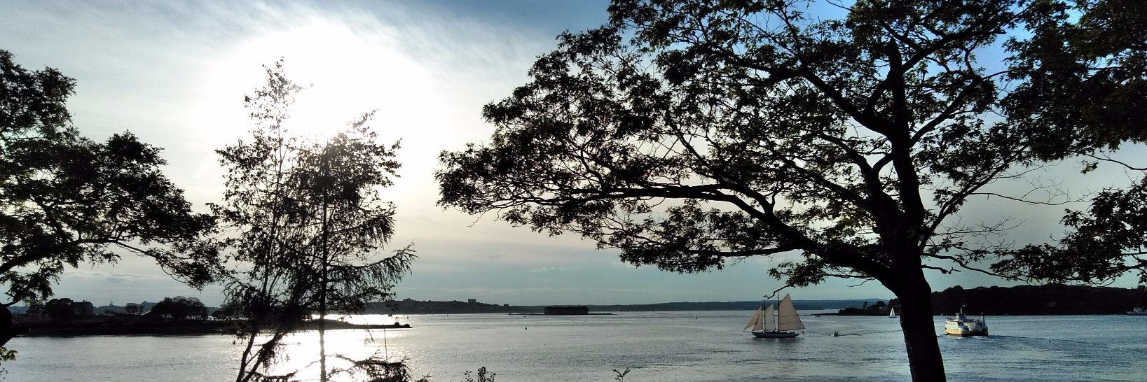 Jessica F. Davis banner