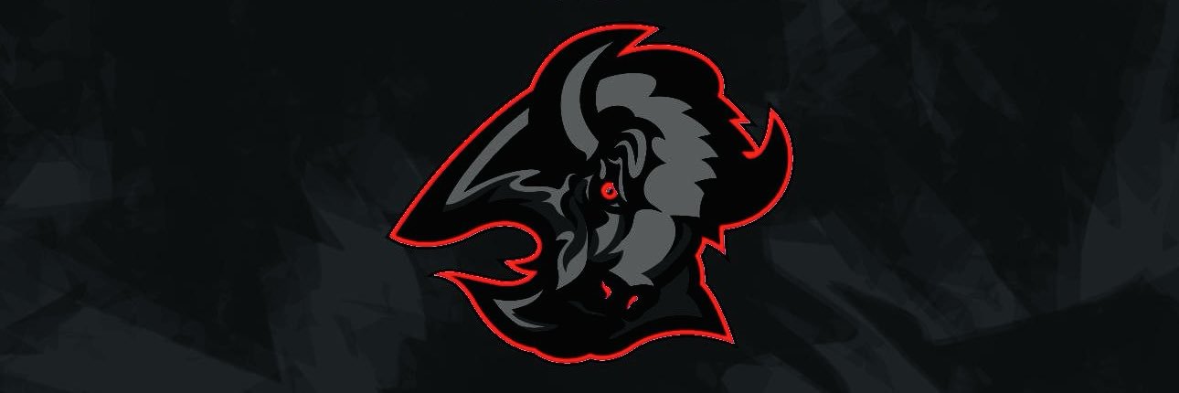 nhoffman19871's profile banner image