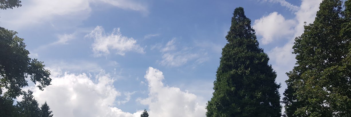 Enemali0's profile banner image