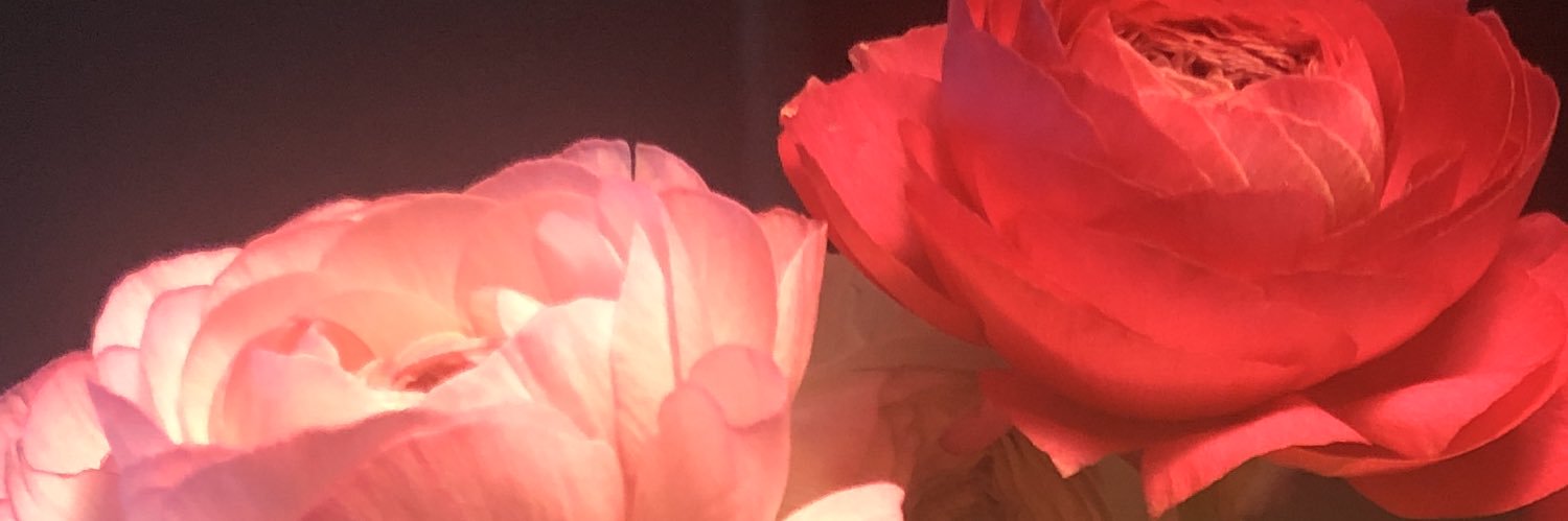 lil_backpack's profile banner image
