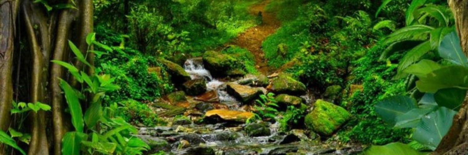jmbar294's profile banner image
